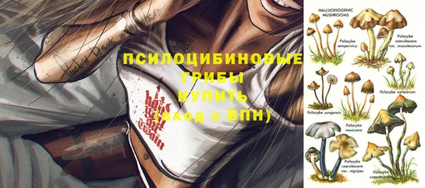 герыч Белокуриха