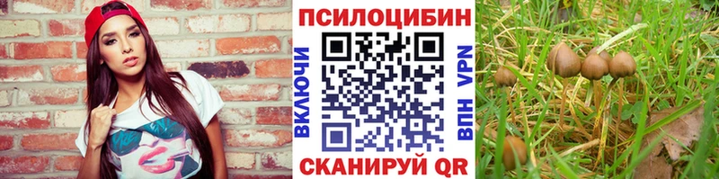 mega вход  Нерехта  Псилоцибиновые грибы мицелий  как найти закладки 